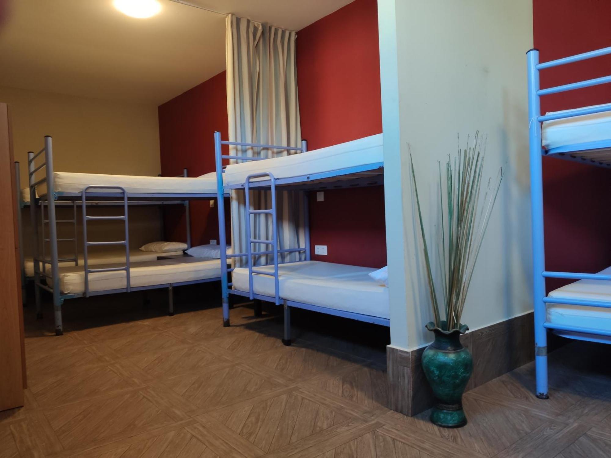 Albergue O Logoso Campelo Номер фото